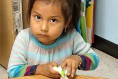 RSHM Life Center RSHM Life Center