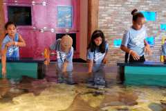 20190710_1412350-scaled