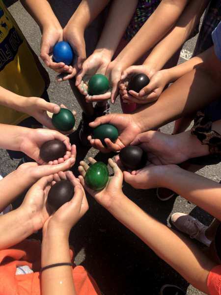 RSHM Life CenterSummerFun2020